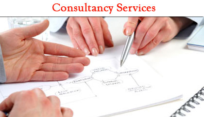 Consultancy Services